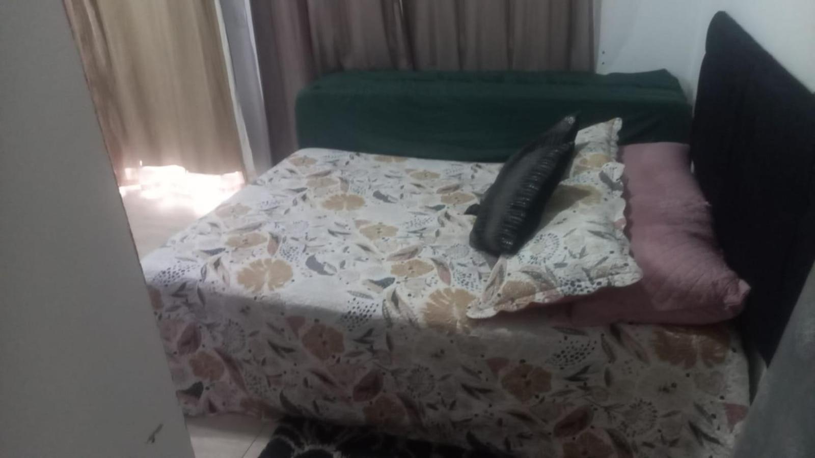 Apartamento Studio Mobiliada No Centro De Predio Novo